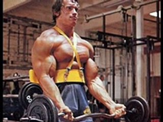 Arnold Schwarzenegger Prank Call