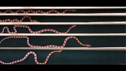 Как ползают Змеи, техника движения