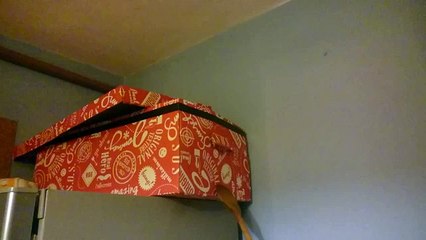 Кот атакует из засады, черная бестия