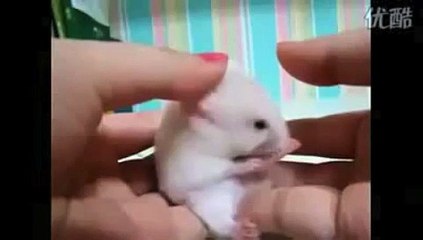"Did You Just Touch Me?" (With Added Sound Effects)