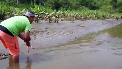 Самое рискованное кормление Крокодила