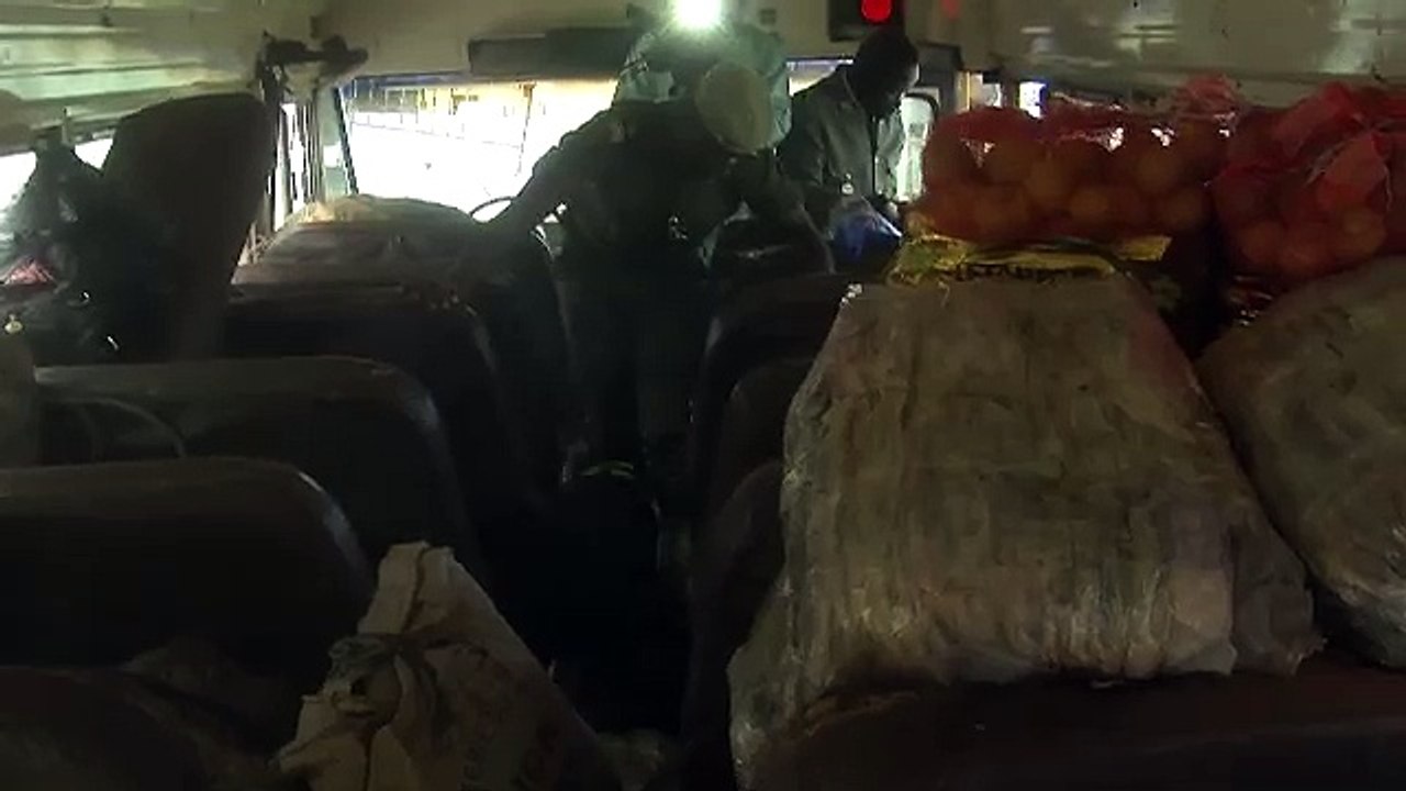 Vidéo:le chien renifleur alerte les douaniers sur les médicaments prohibés