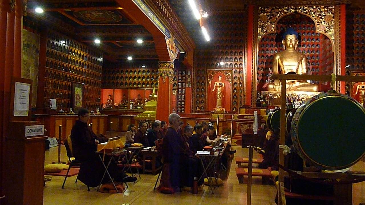 Lossar 2016 pratique de purification 2