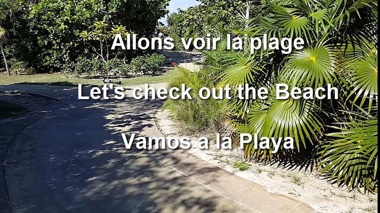 Cayo Santa maria Beach