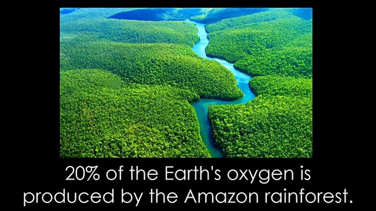 unbelievable facts - watch interesting facts (Funny Videos 720p)