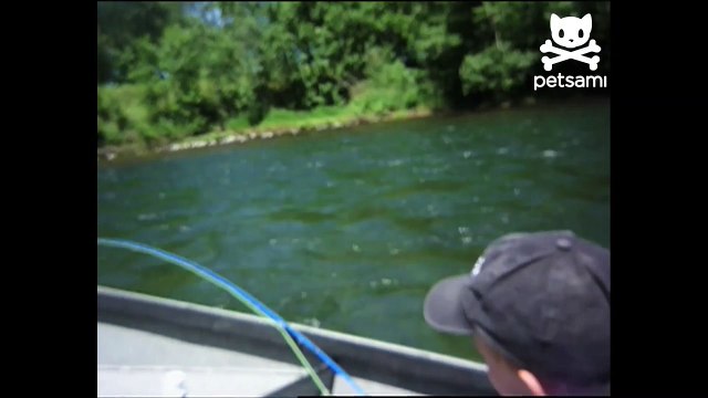 Bird thief steals catch of the day