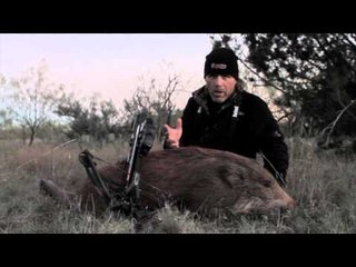 MacMillan River Adventures - Hog wild
