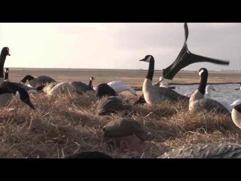 AvianX TV - Late Season with Prairie Thunder