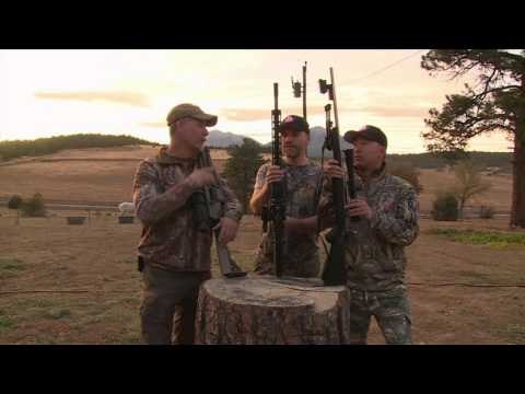 Predator Nation - Running Coyotes