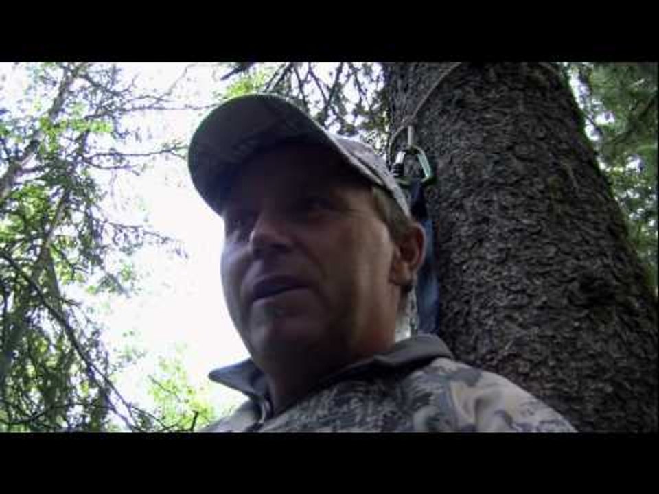 Canadian Syndicate - Alberta Bears