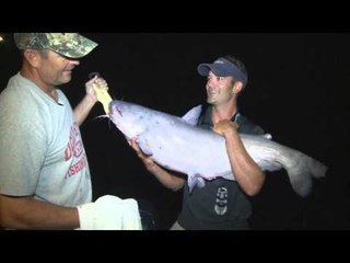 G3 Sportsman - The Hunt for Big Catfish