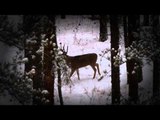 Dean Partridges Canadian Whitetail - Full Season