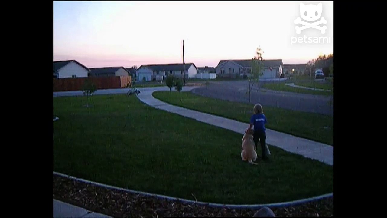 Dog drags kid across the lawn