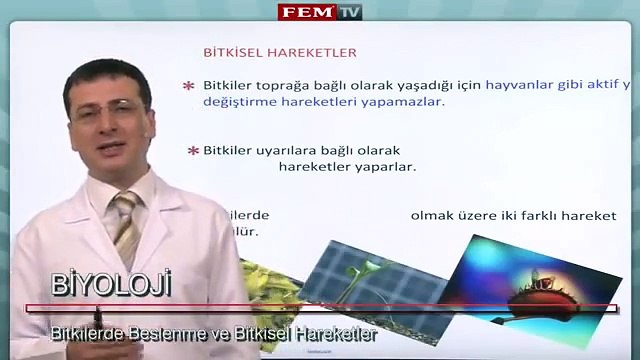 Bitki Biyolojisi Bitkilerde Beslenme ve Bitkisel Hareketler 3