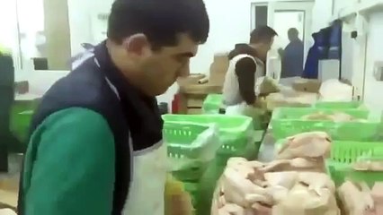 CORTADORES DE POLLOS NIVEL EXPERTO (360p)