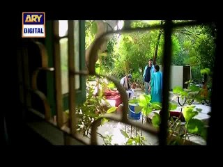Shehzada Saleem Episode 9 on Ary Digital