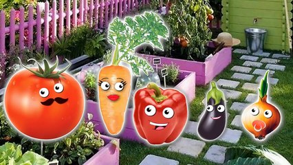 Vegetables Finger Family / Nursery Rhymes