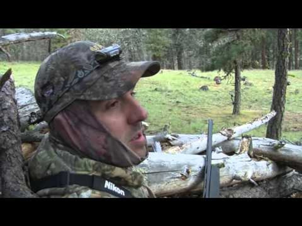 Trigger Effect - Tough Turkeys