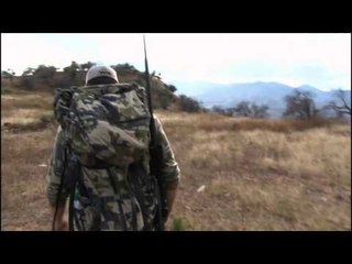 Destination Xtreme - North American Bison