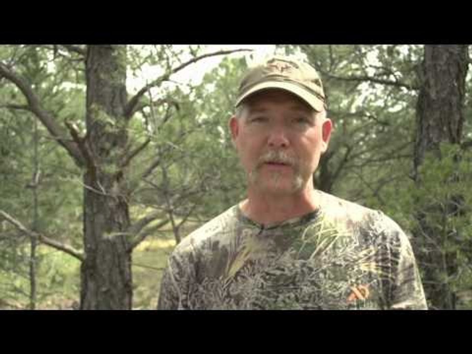 Predator Nation - Calf Killers