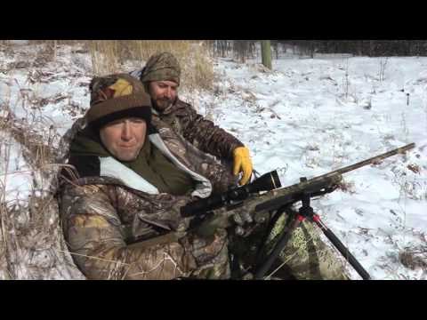 Predator Nation - Wolves in Sub Zero Temps