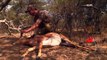 Jason Petersons Into the Wild - Bowhunting Black Death Part 1