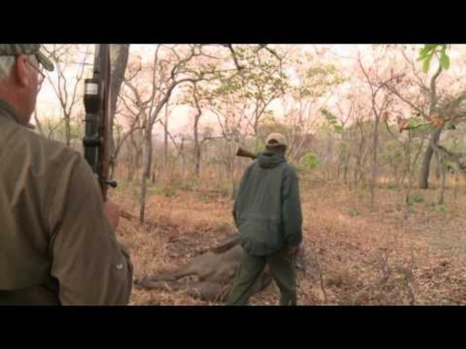 Dallas Safari Clubs Tracks Across Africa - Ultimate Tanzania Part 4