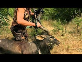 Jim Shockeys Hunting Adventures - Nyala in South Africa with a Bowtech