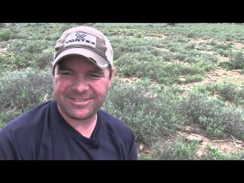 The Hunting Chronicles - Sun Africa Safaris Part 1