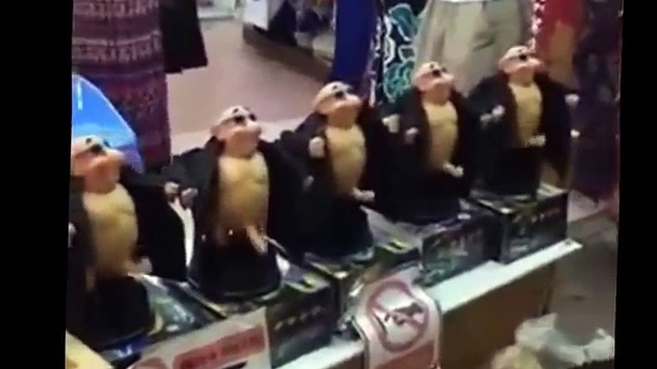 Indian Funny Videos Compilation 2015 (Funny Videos 720p)