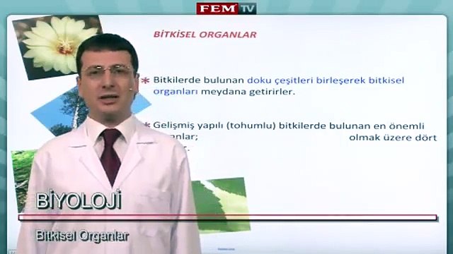 Bitki Biyolojisi Bitkisel Organlar 1