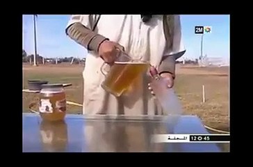 فوائد شرب بول الناقة و دوره في مكافحة السرطان