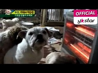 [특종 헌터스] eps 2-2 "유기견들의 러브하우스, 기적의 미용실"