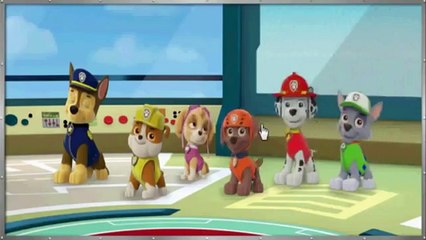 Pat Patrouille - Compilation 1H - Paw Patrol dessin animé en entier