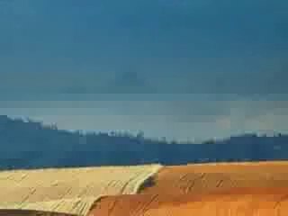 J.J. Cale for m.o. Nique