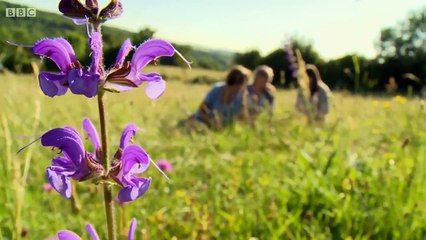 Escape to the Country Gloucestershire [Series 14: 27]