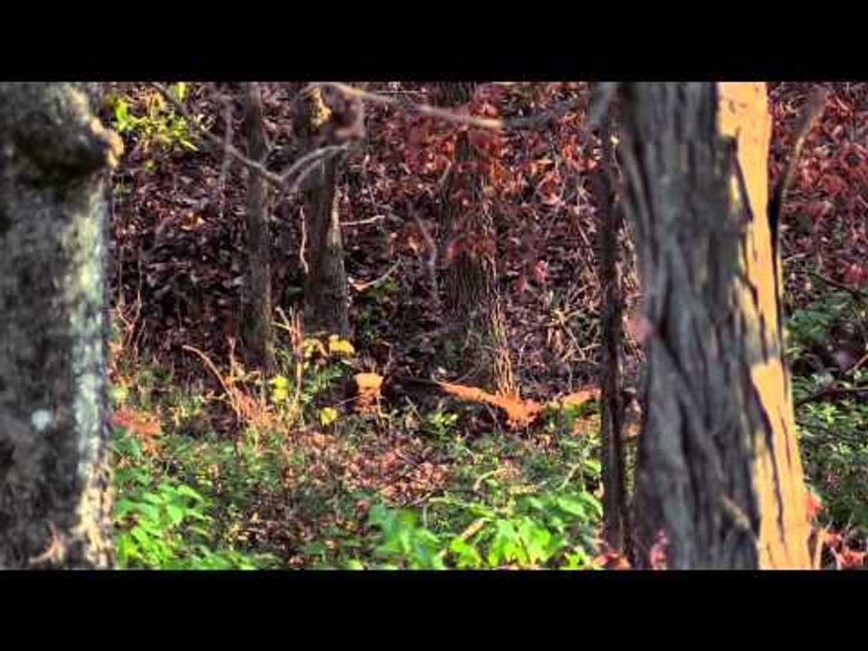 The Breaking Point - On the Road