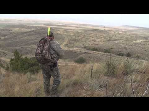 Hitmen Canada - Antelope Mule Deer in Montana