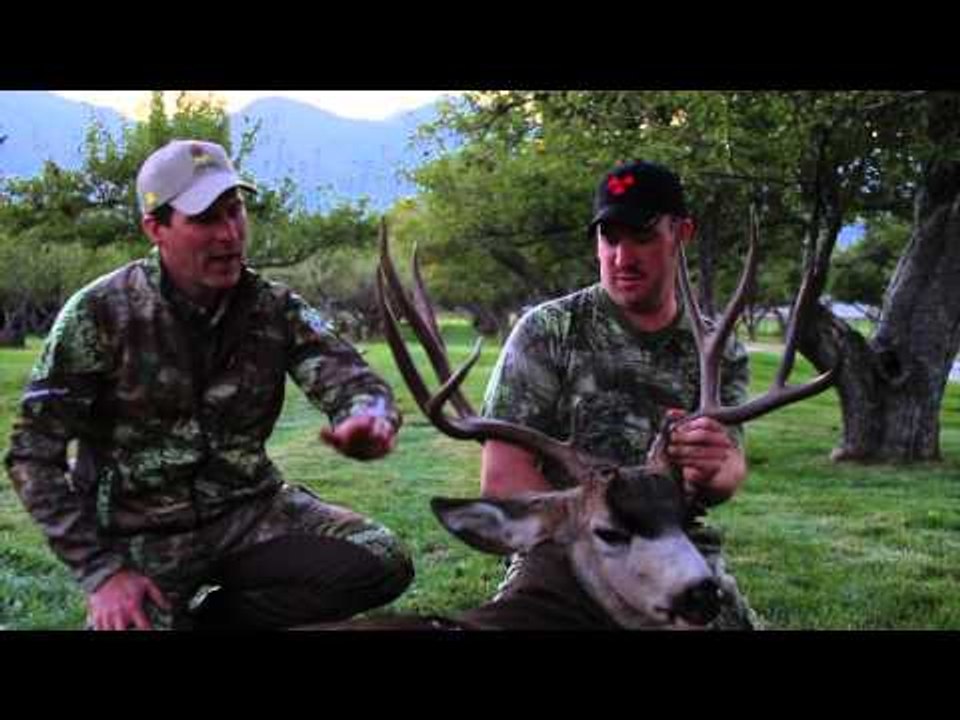 The Zone - Short Range Bucks