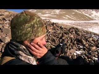 Where in the World is Colorado Buck  - Colorado Hunts Marco Polo Sheep