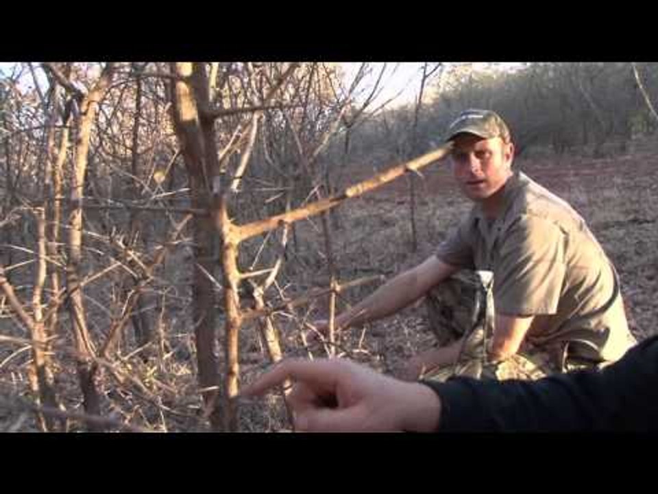 Excaliburs Huntin the Backwoods - Excaliburs Huntin the Backwoods