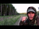 Canadian Syndicate - Spot and Stalk Black Bears