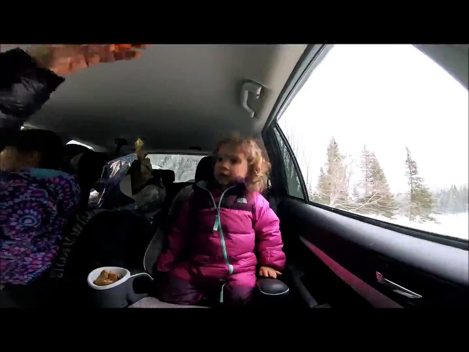 Massive Caribou Takes a Snack From Little Girl Through Car Window