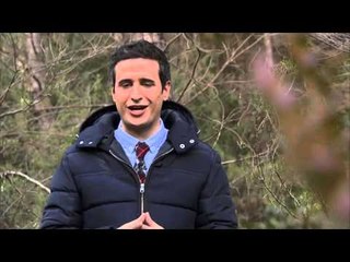 TV3 - Tria33 - Tria33 - capítol 179