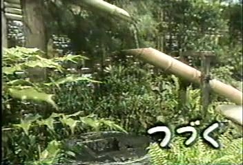 [90年代バラエティ黄金期シリーズ] とんねるずのみなさんのおかげです「ドキドキ愛人日記5」