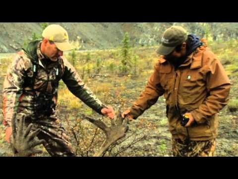 Moment of Impact - Extreme Alaska Moose
