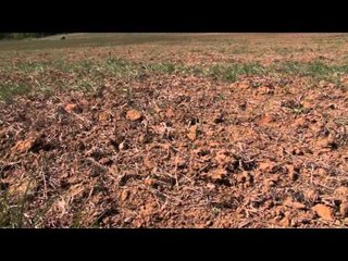 The Gamekeepers of Mossy Oak - The Land of Hawley