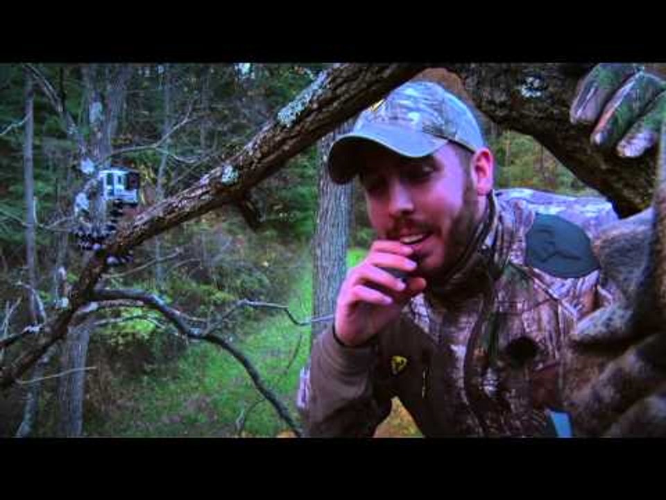 Winchester Archerys Whitetail Frenzy - Winchester Archerys Whitetail Frenzy