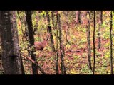 Major League Bowhunter - Mississippi Action pt 1