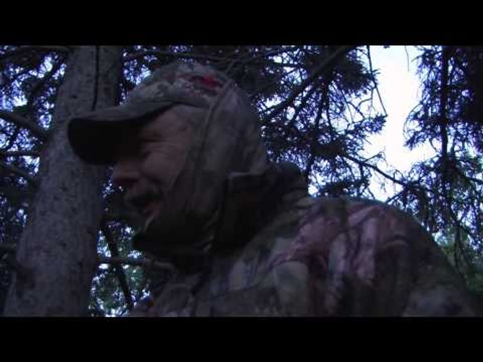 Trigger Effect - Interlake Bruins